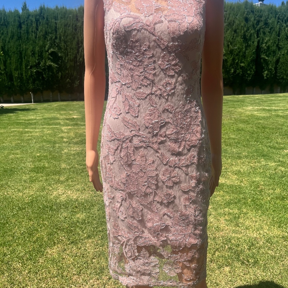Tadashi Shoji Lace Body Con Midi Cocktail Dress 2